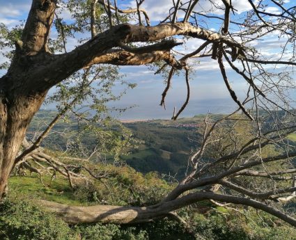 Vistas del Mar Cantábrico desde la ruta guiada por el Hayedo del Sueve