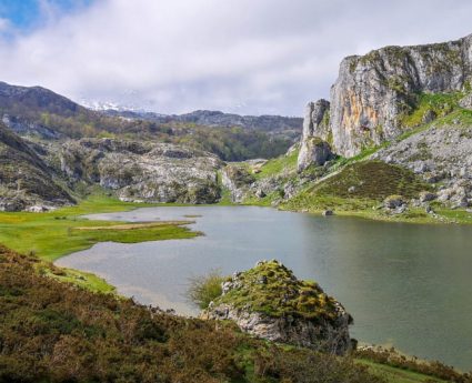 Guided tour in Covadonga Lakes